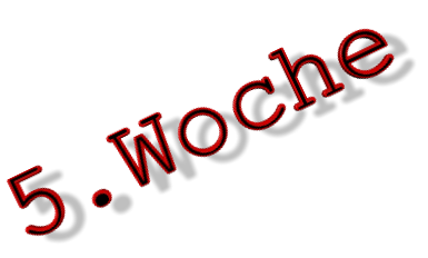 5.Woche