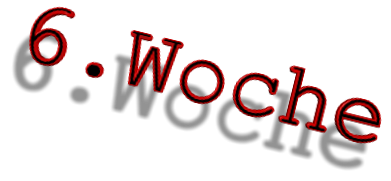 6.Woche
