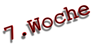 7.Woche