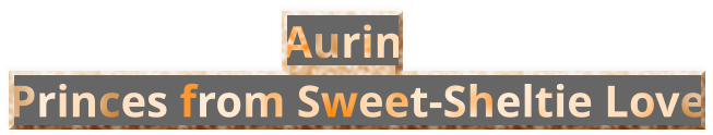 Aurin     Princes from Sweet-Sheltie Love
