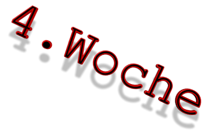 4.Woche