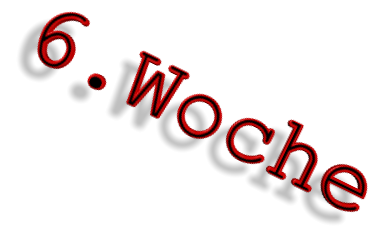 6.Woche