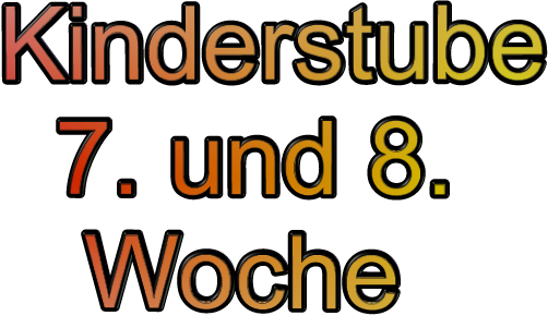Kinderstube   7. und 8.    Woche