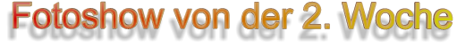 Fotoshow von der 2. Woche